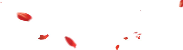 高清透明PNG玫瑰花瓣漂浮设计素材下载