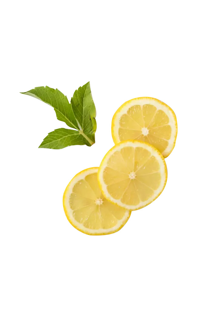 高清透明PNG新鲜柠檬片俯拍图，动植物元素设计素材免费下载