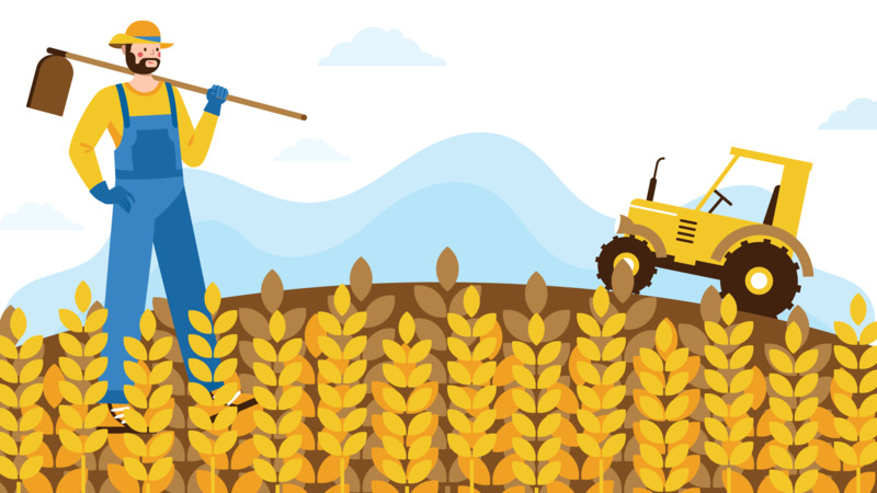 光盘行动节约粮食主题，小麦农场高清PNG免扣透明设计素材下载