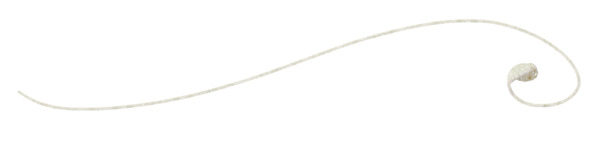 高清透明细线彩带漂浮元素PNG装饰素材设计下载