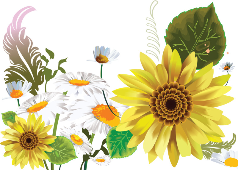 高清免扣透明花瓣漂浮元素PNG设计素材下载