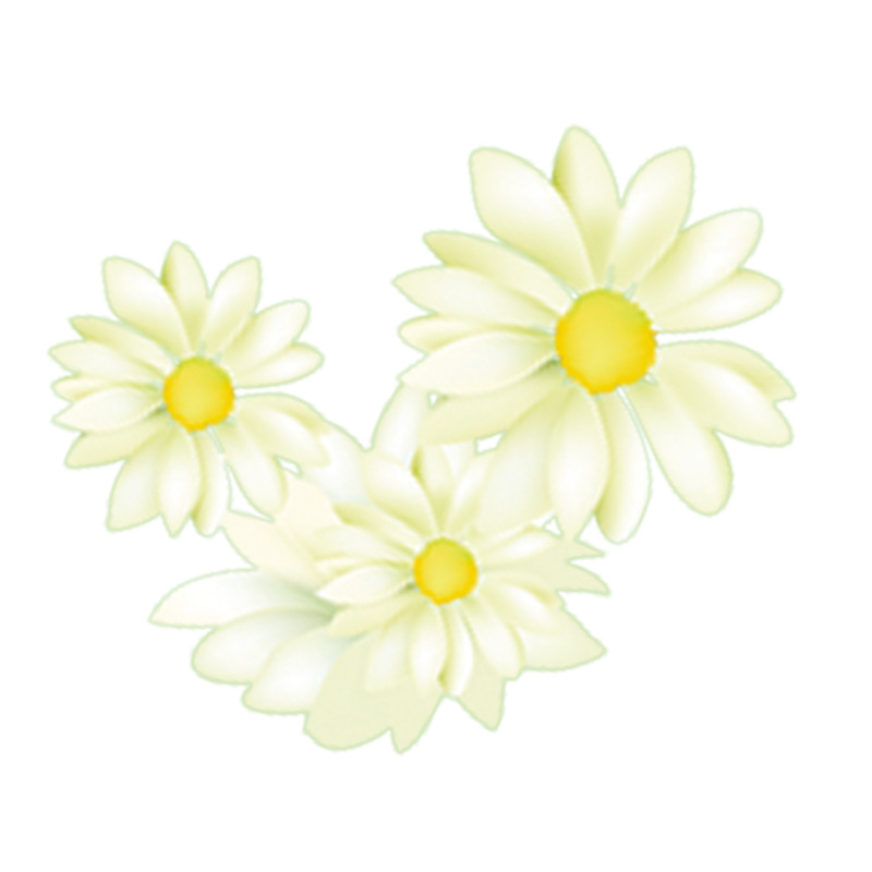 高清透明清新花瓣漂浮元素设计素材PNG图片下载