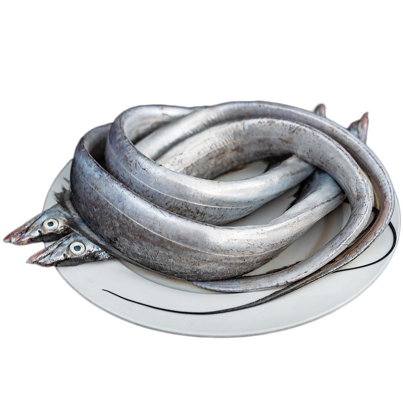 免扣高清透明PNG，一盘带鱼动植物动物设计素材图片下载