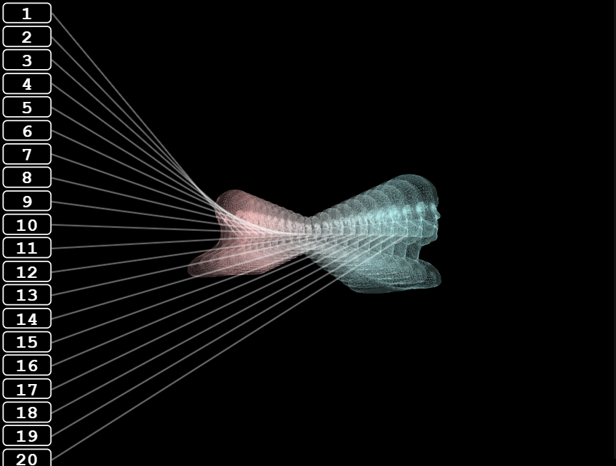 有趣线条立体人像动画制作设计