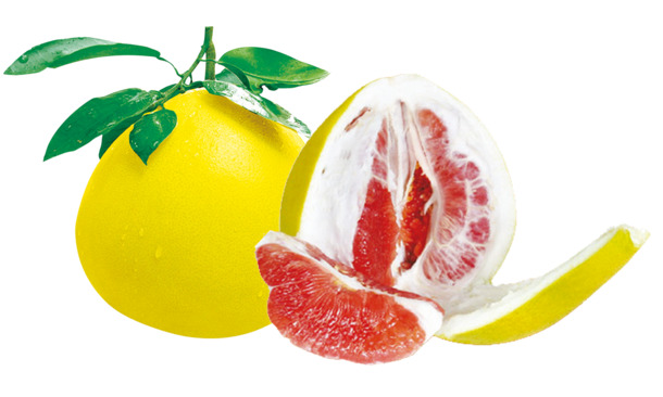 红心蜜柚高清透明PNG植物装饰元素设计素材图片免费下载