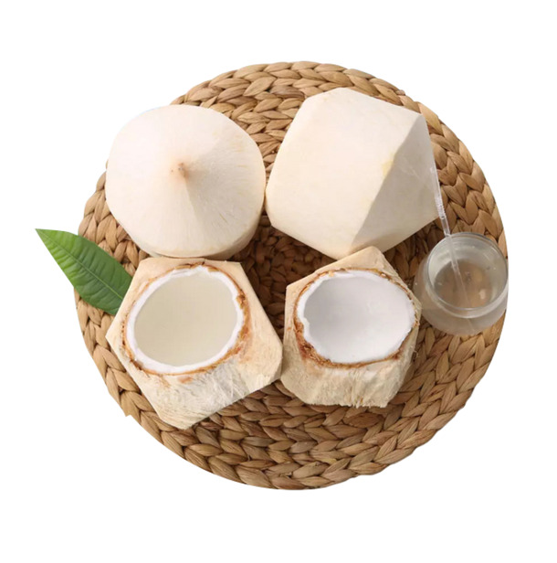 高清透明PNG俯拍草垫椰青椰汁装饰图案设计素材下载