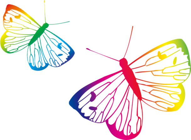 卡通渐变艺术蝴蝶高清透明PNG装饰素材-动物设计图片下载