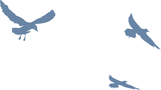 飞鸟剪影装饰元素，高清透明PNG+AI格式动物设计素材免费下载