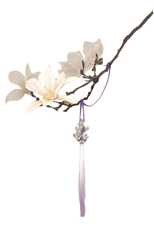 高清透明玉兰枝头吊坠PNG装饰花纹设计素材下载