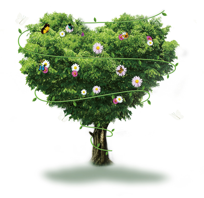 爱心树节日素材，高清PNG透明图+情人节PSD设计模板免费下载