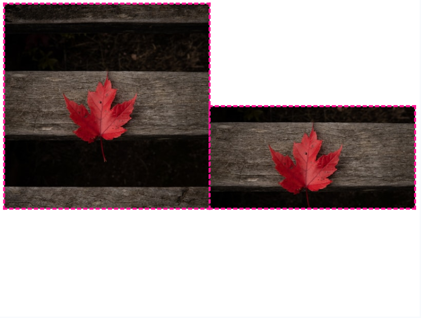 枫叶纵横对比图图片素材必备