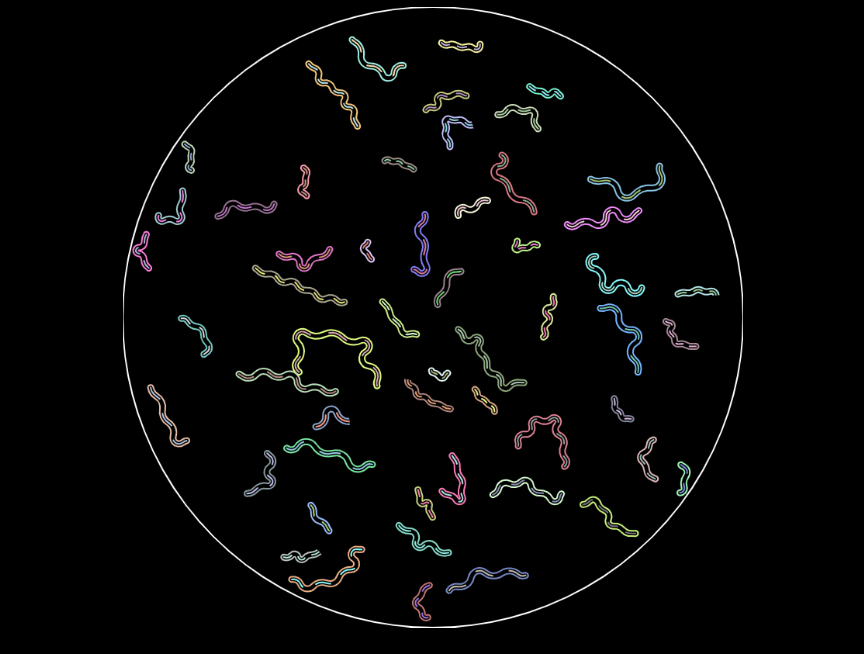 CSS3动态实例,可爱细菌生物模型图像展示 CSS3动态实例,可爱细菌生物模型图像展示