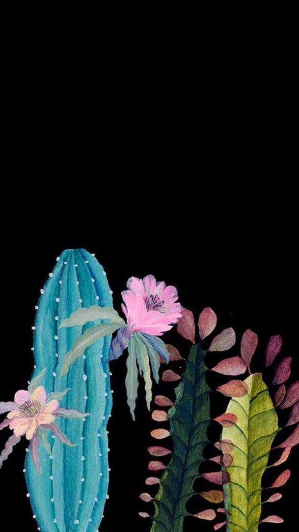 高清透明背景手绘卡通仙人掌开花PNG插画设计素材下载