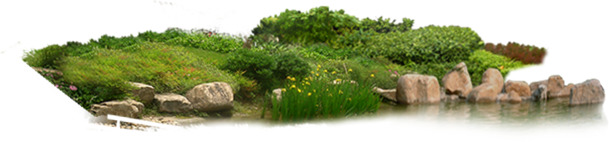 公园假山绿景高清透明PNG动植物元素设计素材图片下载