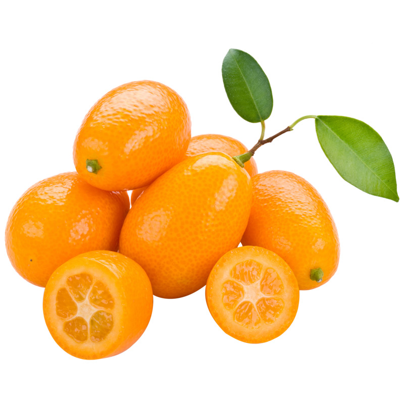 小金桔装饰高清透明PNG动植物元素设计素材图片下载