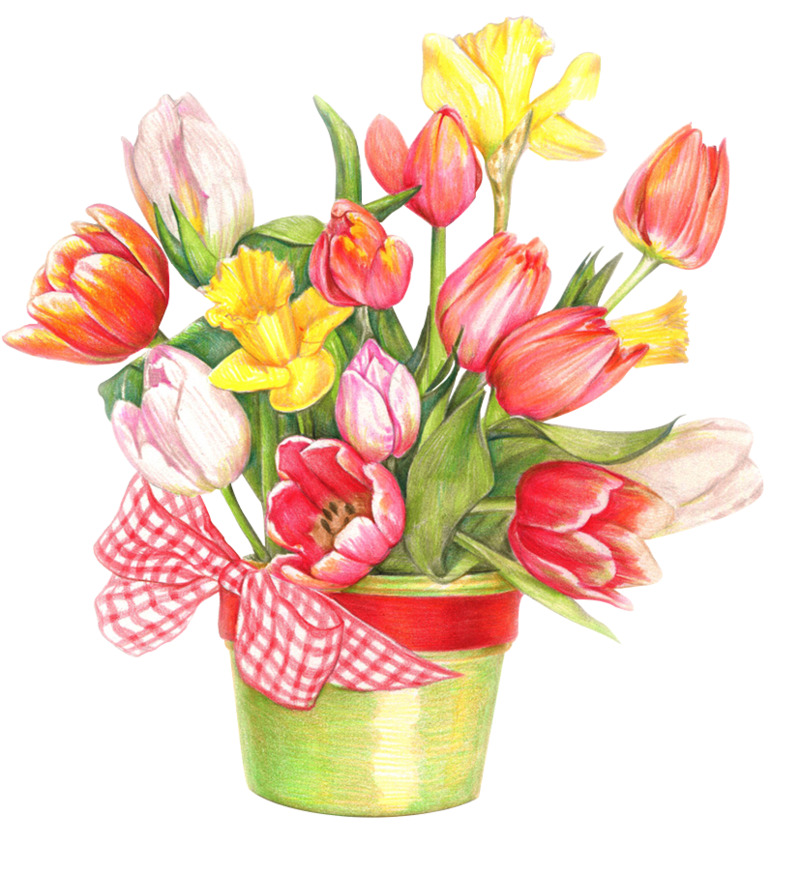高清透明PNG手绘郁金香盆栽，动植物设计素材免费下载