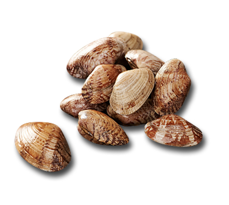 高清透明PNG花蛤海鲜食物图片，生活装饰用品设计素材下载