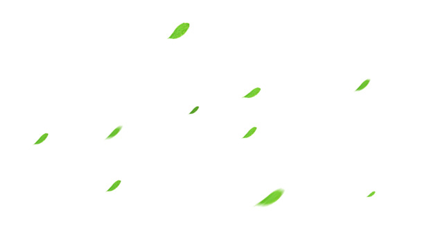 漂浮高清PNG透明叶子图片设计素材免费下载