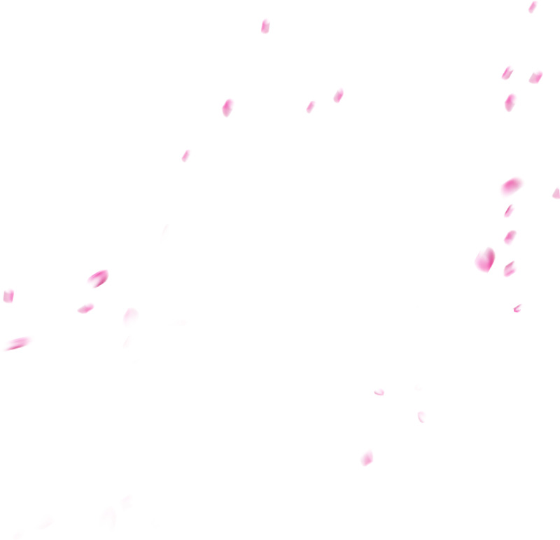 高清透明唯美粉红花瓣飘落PNG设计素材，漂浮元素图片免费下载