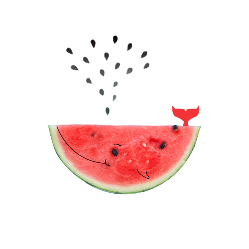 卡通西瓜鲸鱼高清透明PNG装饰元素，生活用品设计素材免费下载