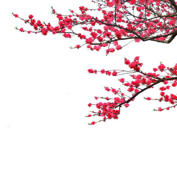 梅花墨迹笔触高清PNG透明装饰元素设计素材免费下载