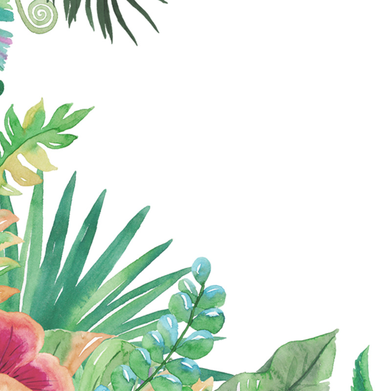 高清透明手绘植物叶子装饰海报素材，边框设计元素PNG图片下载