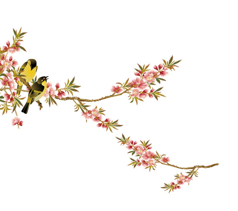古代工笔桃花花鸟画高清PNG透明装饰素材免费下载
