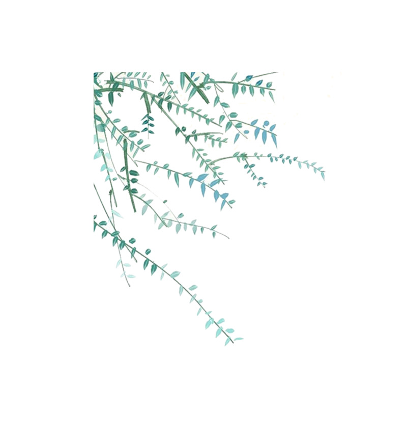 绿色植物高清PNG透明装饰素材免费下载