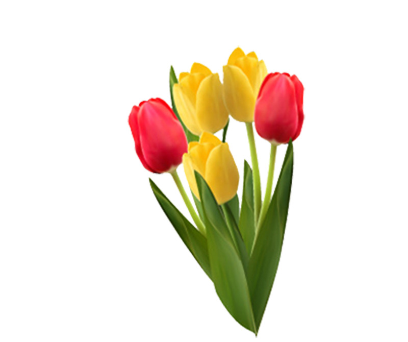 鲜花高清PNG透明植物装饰元素设计素材免费下载