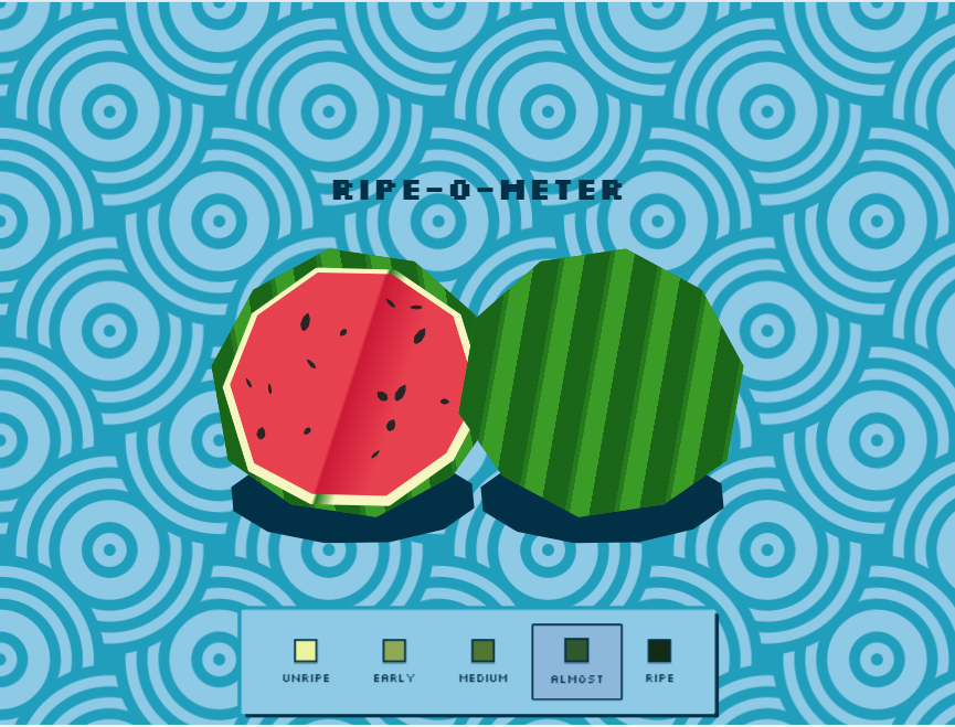 成熟度西瓜成熟检测标准模型必备