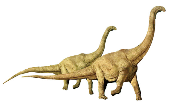 恐龙高清PNG透明图片装饰元素动物设计素材免费下载