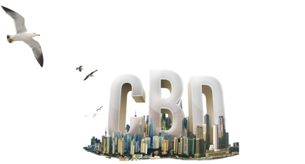 企业商务装饰元素，高清PNG透明与动物PSD设计素材免费下载