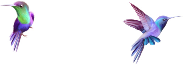 小鸟飞翔可爱唯美高清PNG透明动物装饰设计素材免费下载