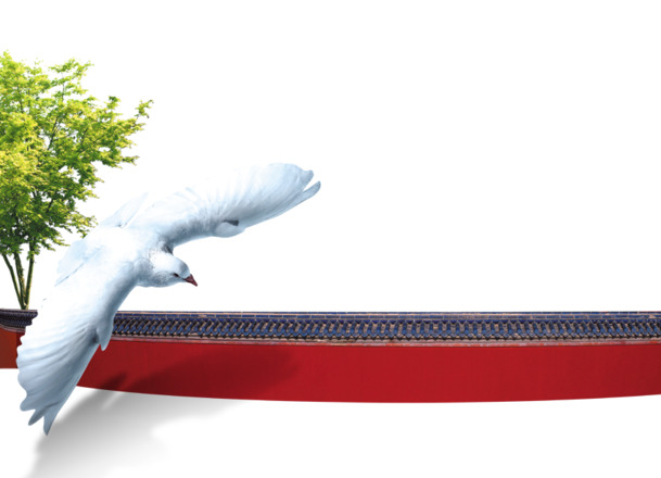 鸽子红墙树木高清PNG透明及PSD动物设计素材免费下载