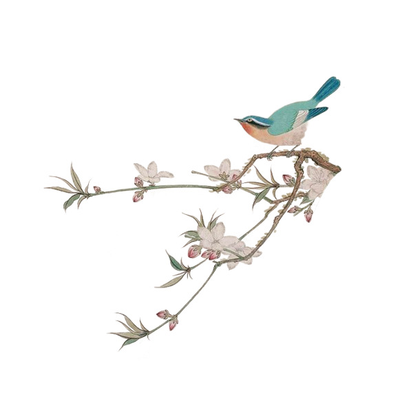 手绘花枝喜鹊情人节设计素材高清PNG透明图免费下载