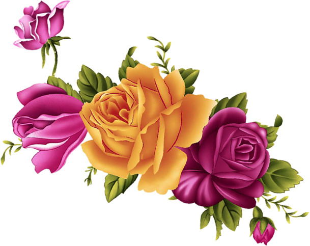 艳丽盛开玫瑰七夕情人节高清PNG透明图片设计素材免费下载