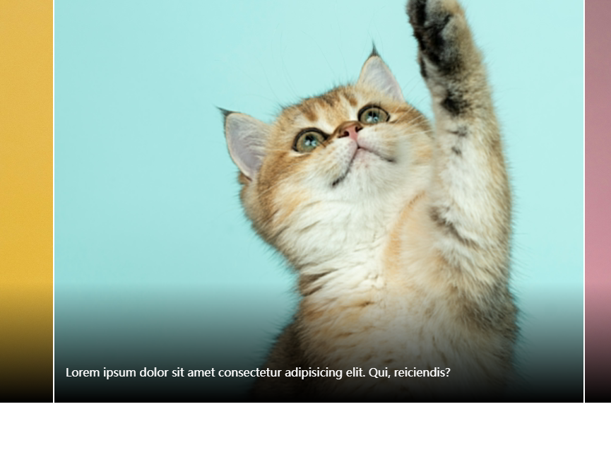 全高图片悬停放大高清图片素材