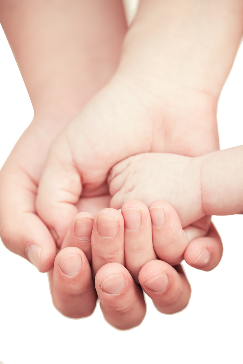 一家人手牵手高清PNG透明及PSD设计素材免费下载