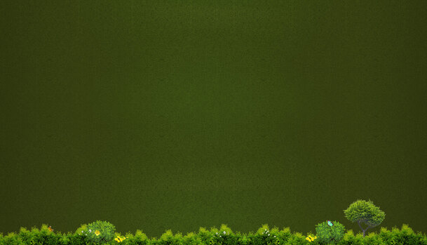 纯色背景绿色植物高清PNG透明素材免费下载 适用于banner海报设计