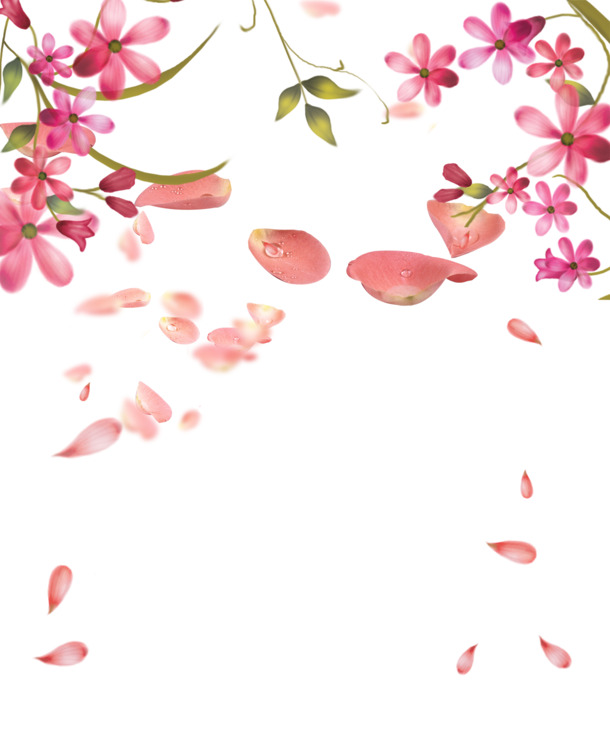 花边花瓣高清PNG透明漂浮元素设计素材免费下载