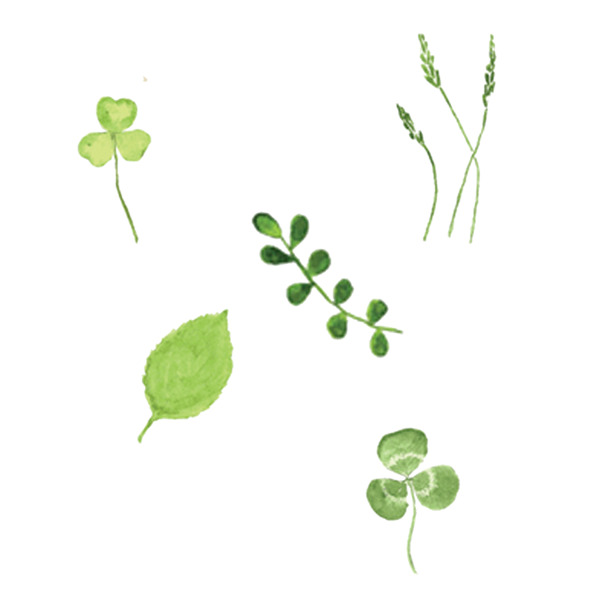 漂浮绿叶高清PNG透明免抠设计素材免费下载