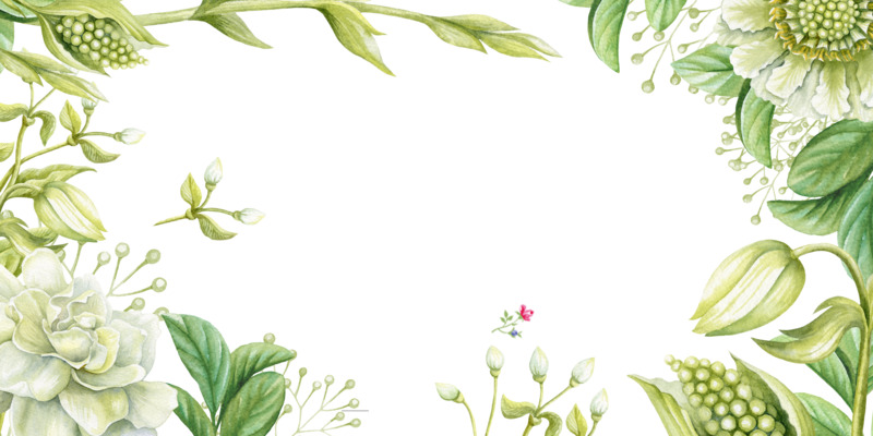 绿色小清新花草装饰边框高清PNG透明素材免费下载