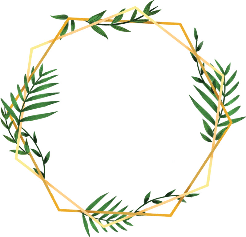 简约小清新树叶边框高清PNG透明AI设计素材免费下载