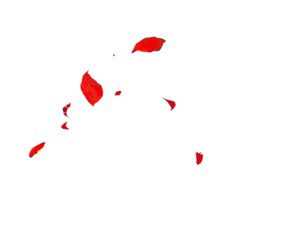 红色花朵漂浮高清PNG透明花瓣设计素材免费下载