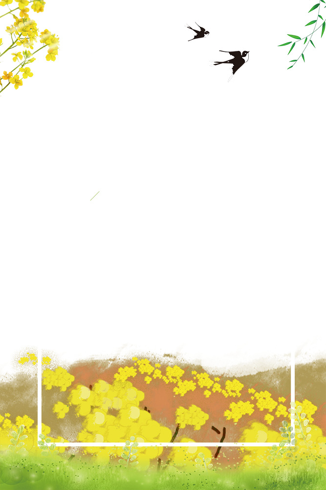 春季油菜花小清新边框PSD设计素材高清PNG透明图免费下载