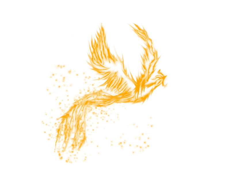 炫彩飞翔凤凰高清PNG透明及PSD设计素材免费下载