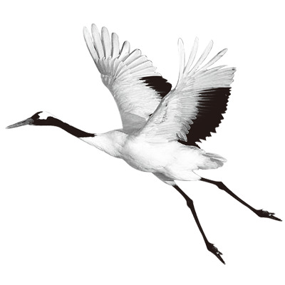 仙鹤高清PNG透明动物装饰元素设计素材免费下载