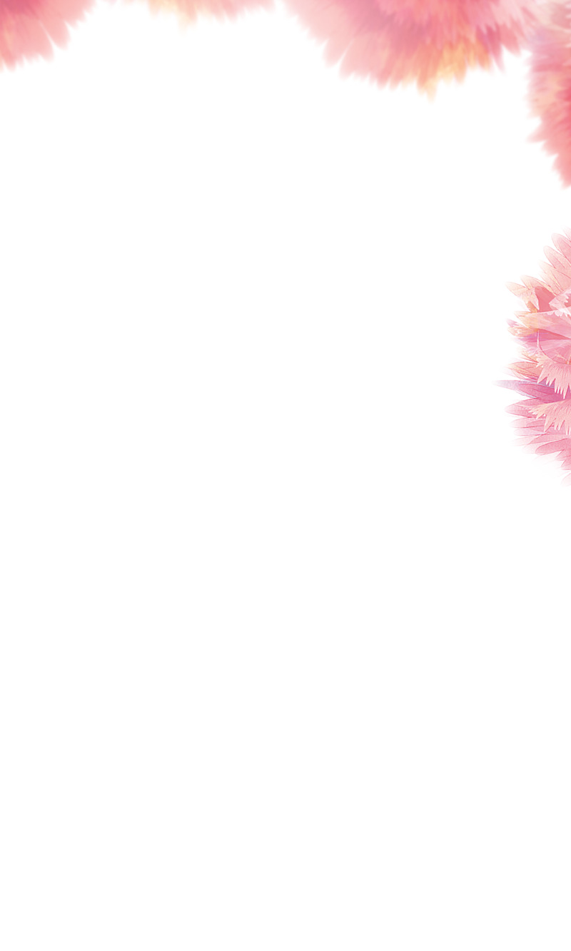 粉色康乃馨装饰边框高清PNG透明及PSD植物设计素材免费下载