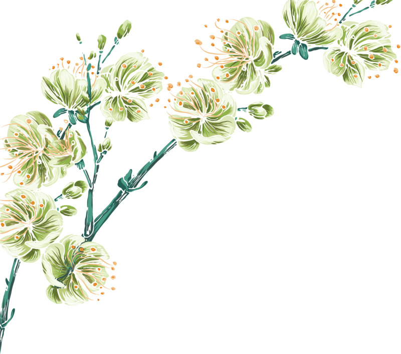 唯美手绘玉兰花高清PNG透明装饰元素花纹设计素材免费下载