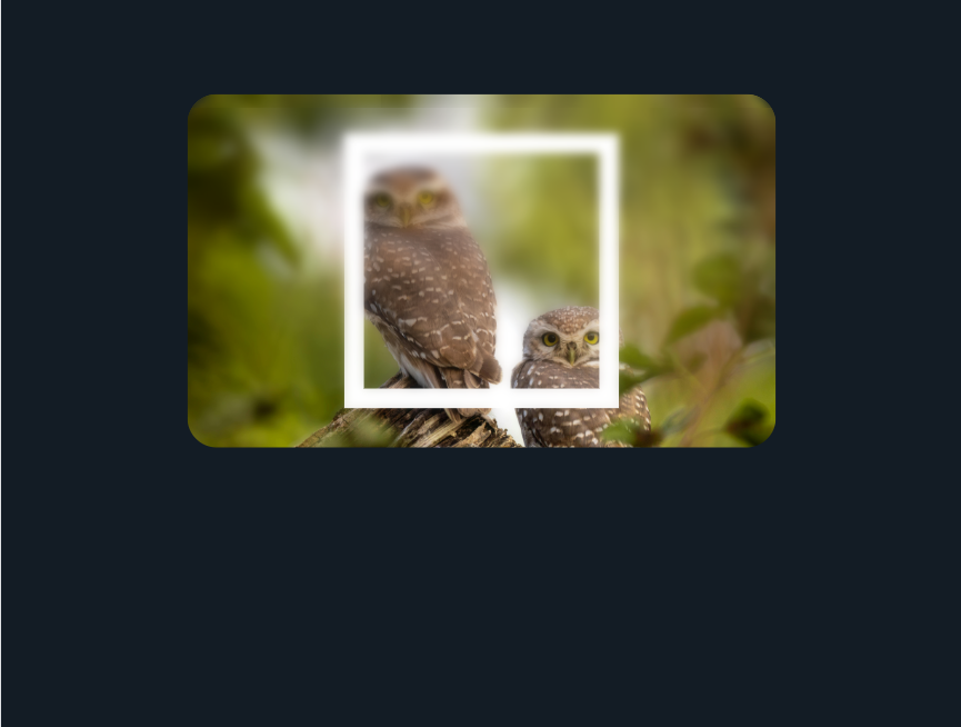 图片css悬停效果遮罩效果案例